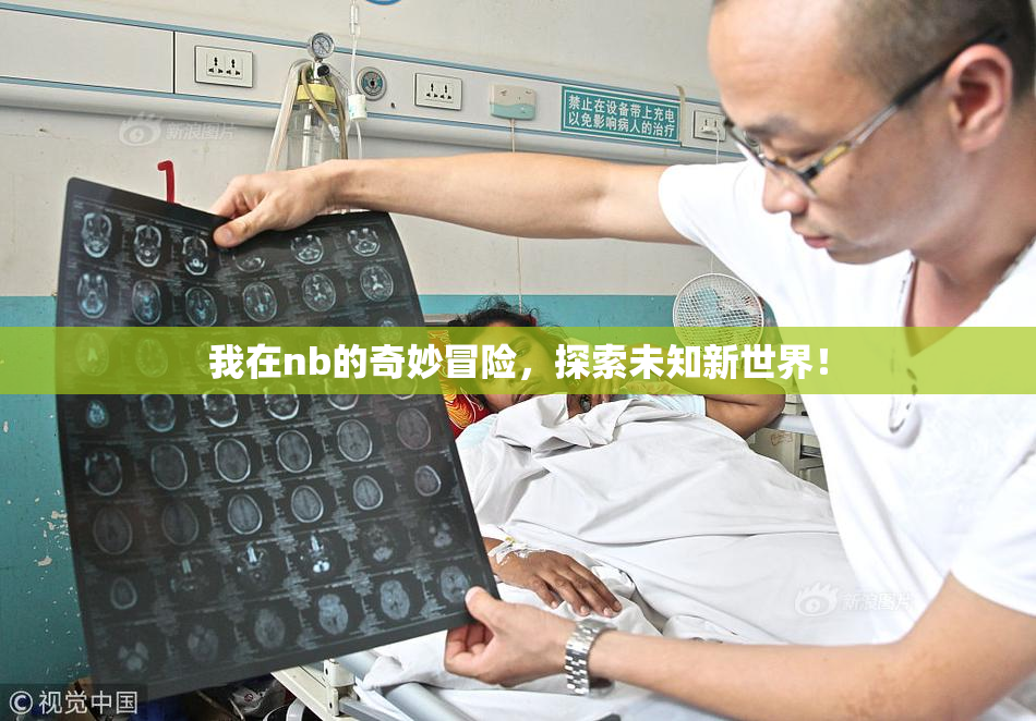我在nb的奇妙冒险，探索未知新世界！