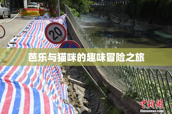 芭乐与猫咪的趣味冒险之旅