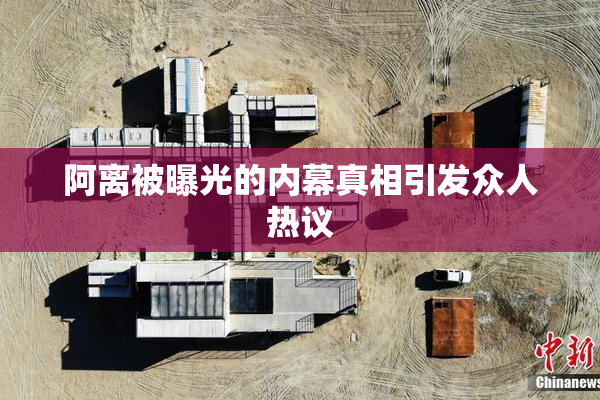 阿离被曝光的内幕真相引发众人热议