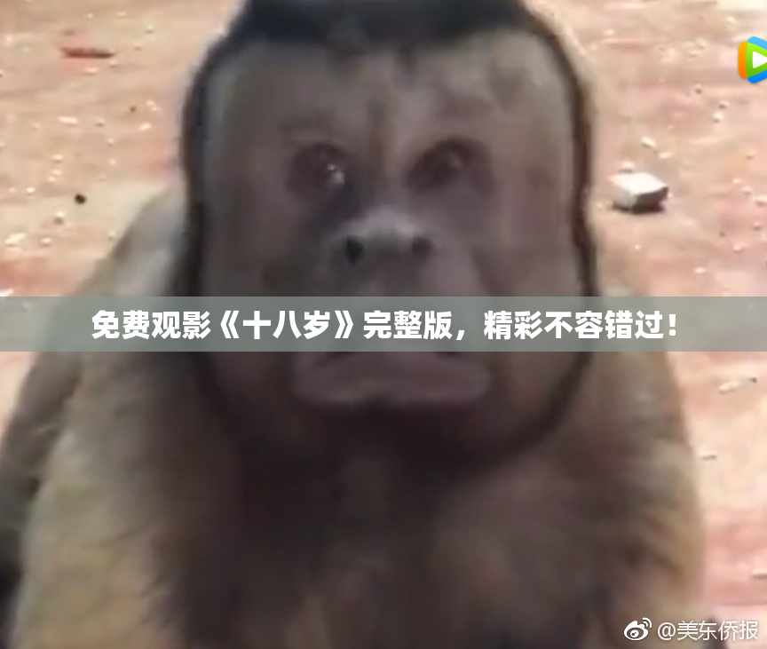 免费观影《十八岁》完整版，精彩不容错过！