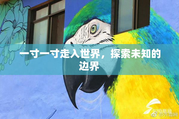 一寸一寸走入世界，探索未知的边界