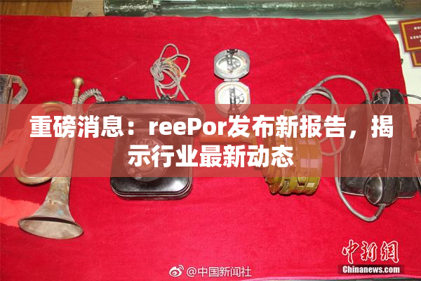 重磅消息：reePor发布新报告，揭示行业最新动态