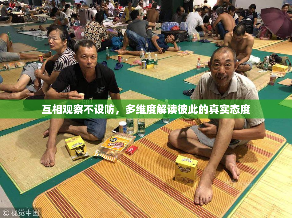 互相观察不设防，多维度解读彼此的真实态度