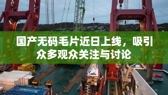国产无码毛片近日上线，吸引众多观众关注与讨论