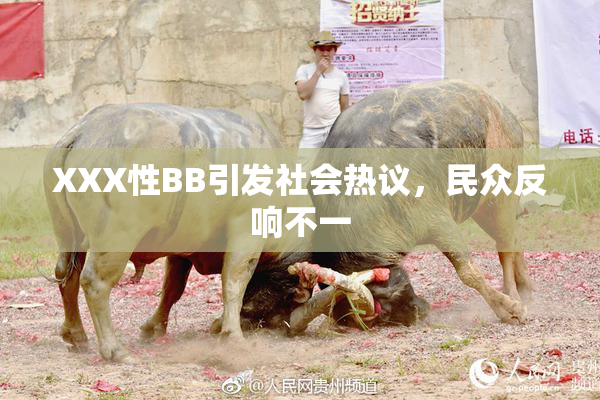 XXX性BB引发社会热议，民众反响不一