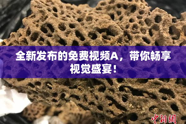 全新发布的免费视频A，带你畅享视觉盛宴！