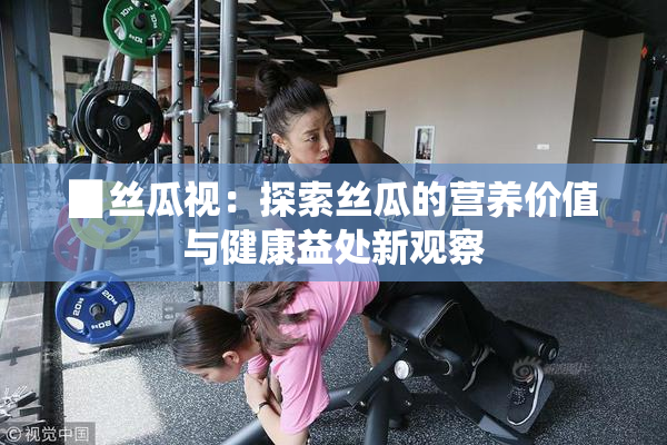 ▉丝瓜视：探索丝瓜的营养价值与健康益处新观察