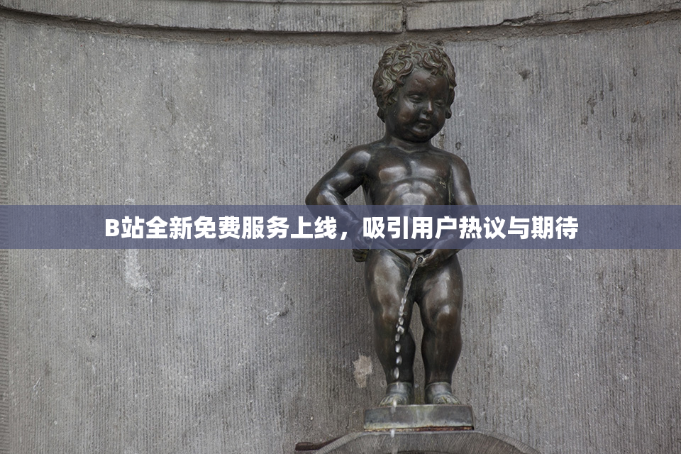 B站全新免费服务上线，吸引用户热议与期待
