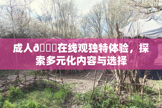 成人🔞在线观独特体验，探索多元化内容与选择