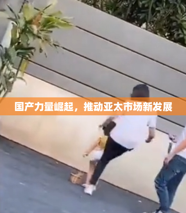 国产力量崛起，推动亚太市场新发展