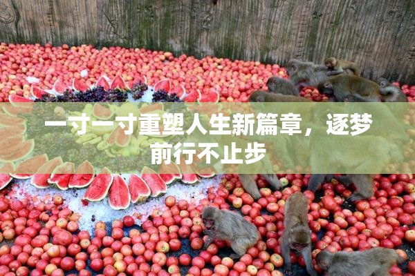 一寸一寸重塑人生新篇章，逐梦前行不止步