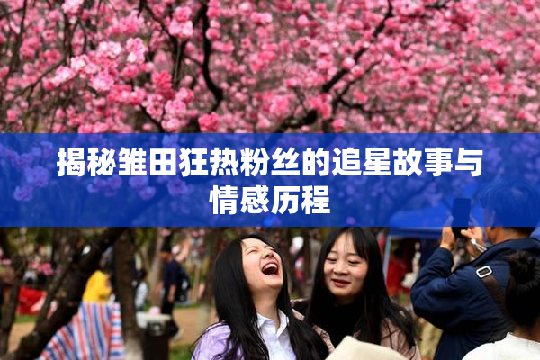 揭秘雏田狂热粉丝的追星故事与情感历程