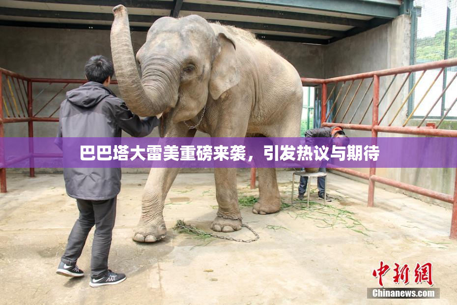 巴巴塔大雷美重磅来袭，引发热议与期待
