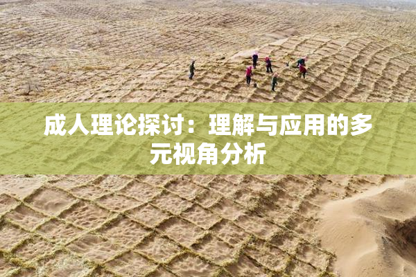 成人理论探讨：理解与应用的多元视角分析