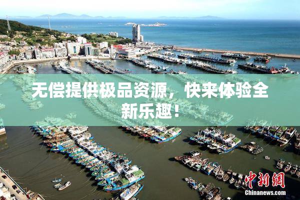 无偿提供极品资源，快来体验全新乐趣！