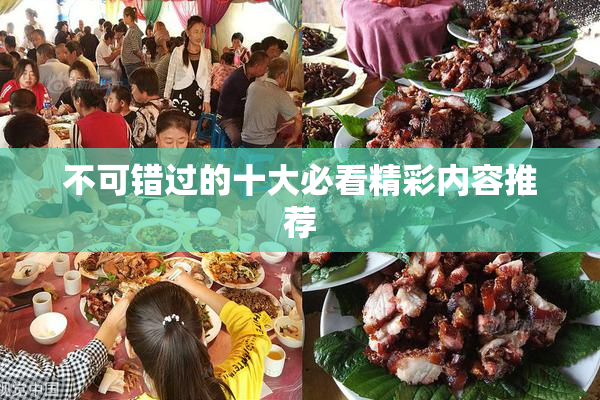 不可错过的十大必看精彩内容推荐