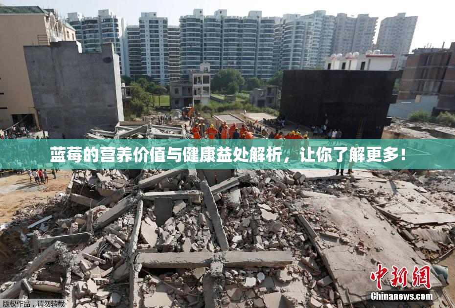 蓝莓的营养价值与健康益处解析，让你了解更多！
