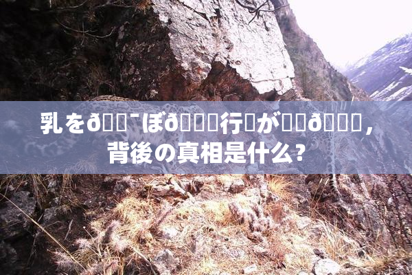 乳を🔯ぼ🌃行為が話題🎆，背後の真相是什么？