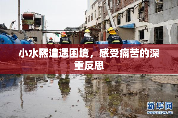 小水熙遭遇困境，感受痛苦的深重反思