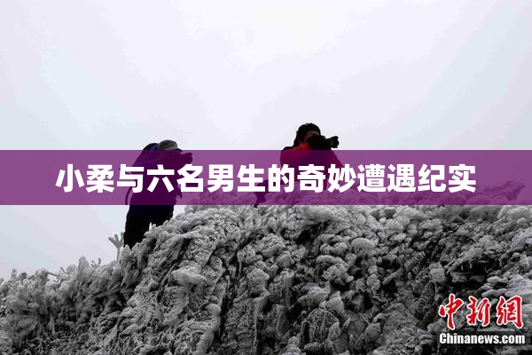 小柔与六名男生的奇妙遭遇纪实