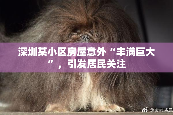 深圳某小区房屋意外“丰满巨大”，引发居民关注
