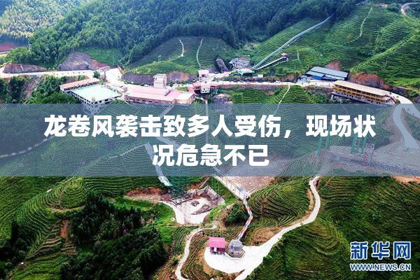 龙卷风袭击致多人受伤，现场状况危急不已