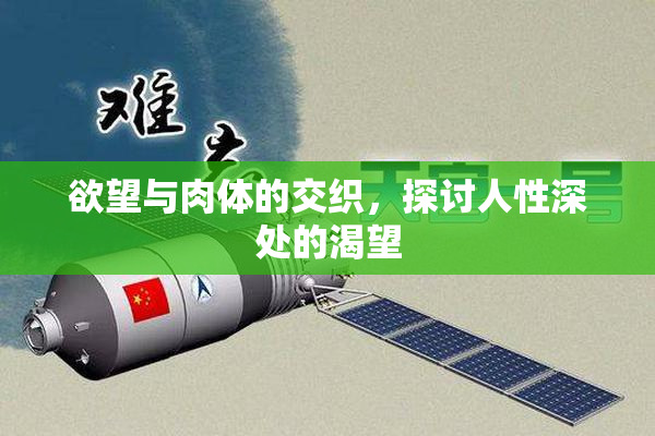 欲望与肉体的交织，探讨人性深处的渴望