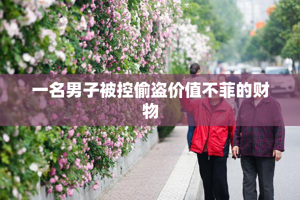 一名男子被控偷盗价值不菲的财物