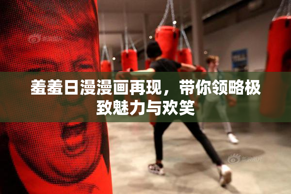 羞羞日漫漫画再现，带你领略极致魅力与欢笑