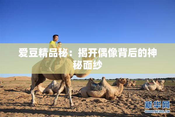 爱豆精品秘：揭开偶像背后的神秘面纱