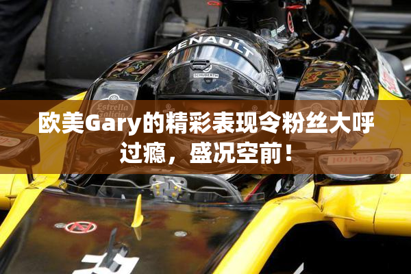 欧美Gary的精彩表现令粉丝大呼过瘾，盛况空前！