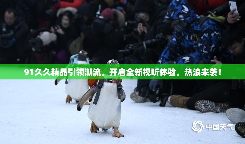 91久久精品引领潮流，开启全新视听体验，热浪来袭！