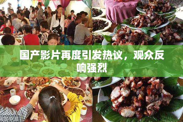 国产影片再度引发热议，观众反响强烈