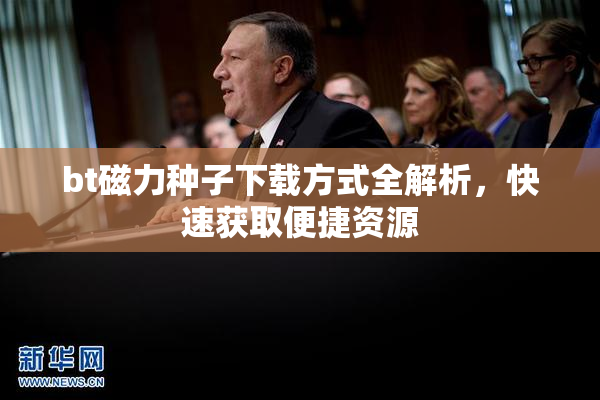 bt磁力种子下载方式全解析，快速获取便捷资源