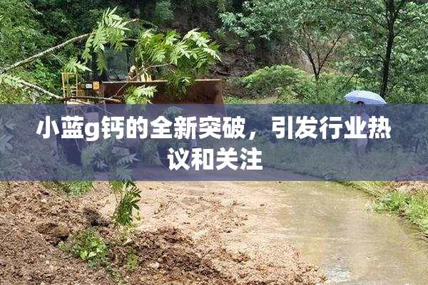 小蓝g钙的全新突破，引发行业热议和关注