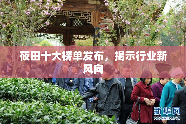 莜田十大榜单发布，揭示行业新风向