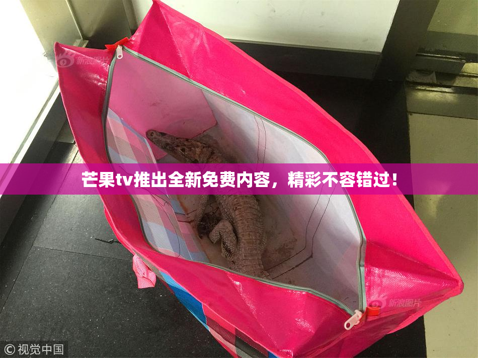 芒果tv推出全新免费内容，精彩不容错过！