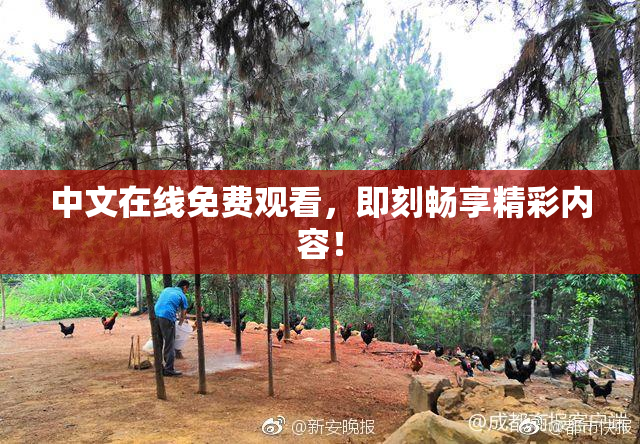中文在线免费观看，即刻畅享精彩内容！