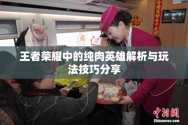 王者荣耀中的纯肉英雄解析与玩法技巧分享