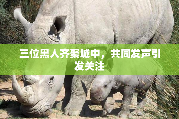 三位黑人齐聚城中，共同发声引发关注