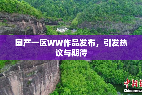 国产一区WW作品发布，引发热议与期待