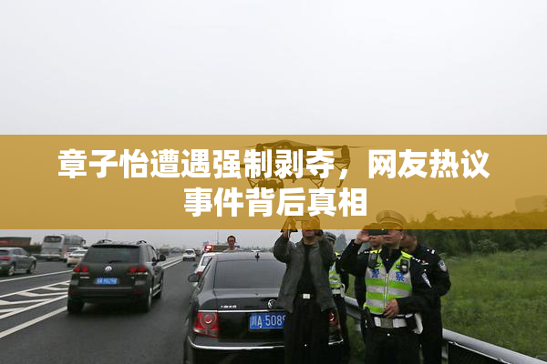 章子怡遭遇强制剥夺，网友热议事件背后真相