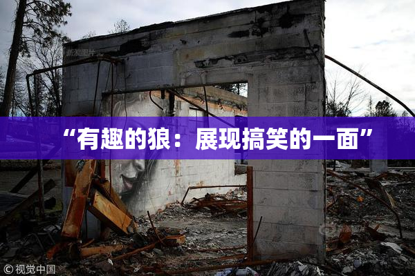 “有趣的狼：展现搞笑的一面”