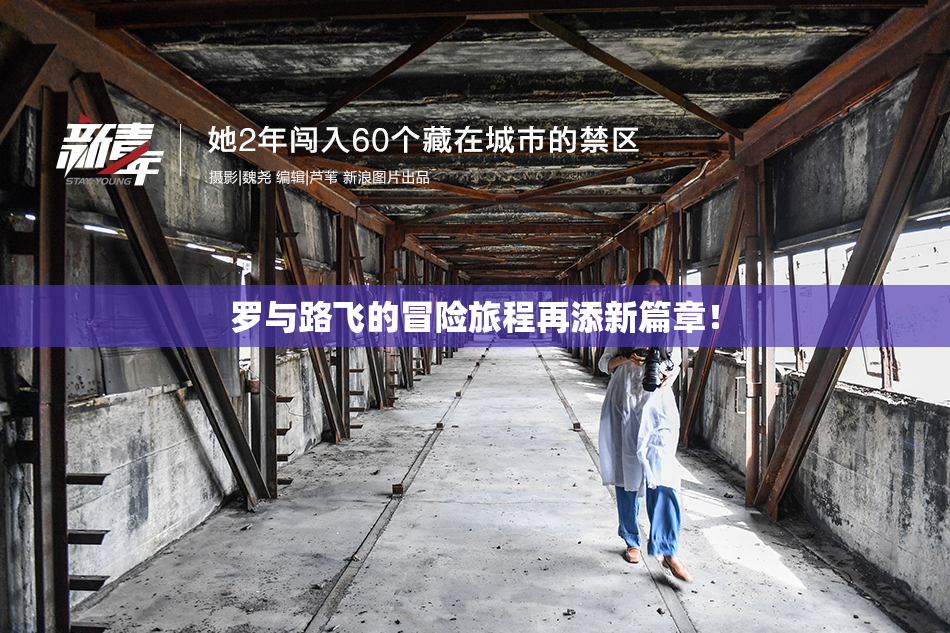罗与路飞的冒险旅程再添新篇章！