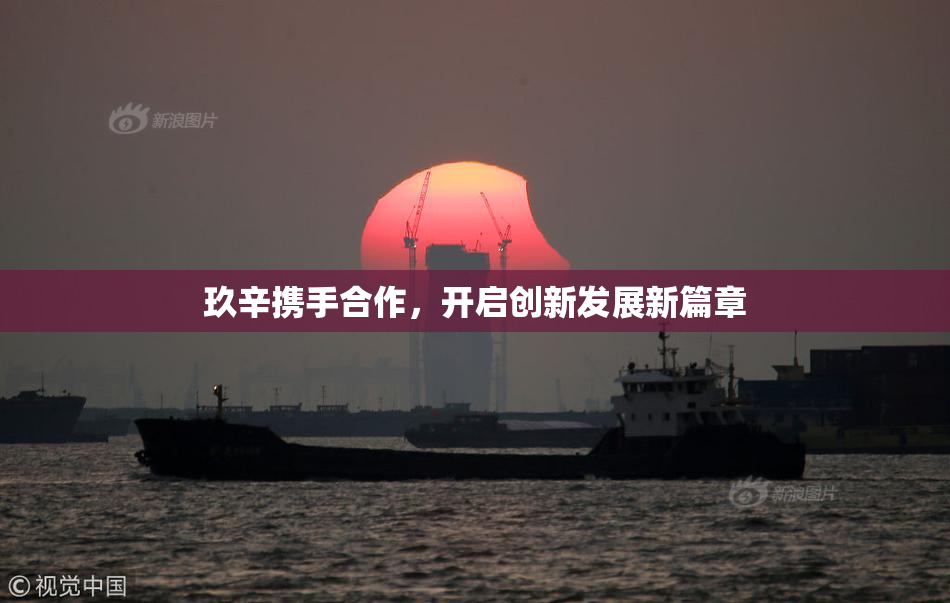 玖辛携手合作，开启创新发展新篇章