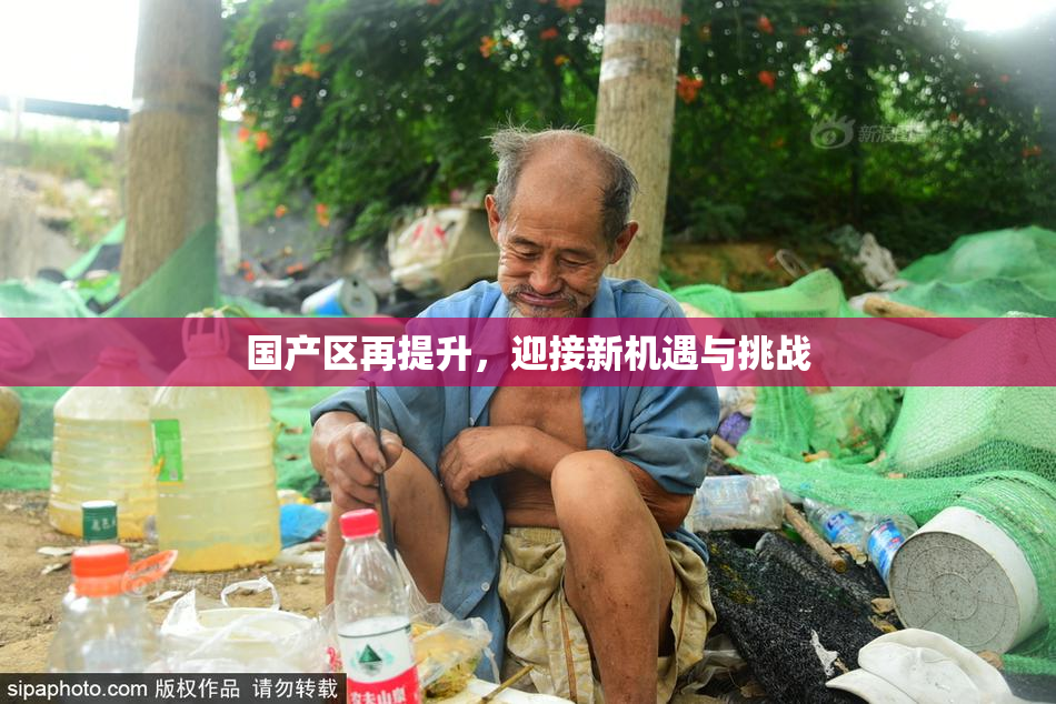 国产区再提升，迎接新机遇与挑战