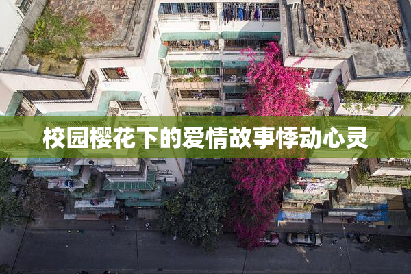校园樱花下的爱情故事悸动心灵