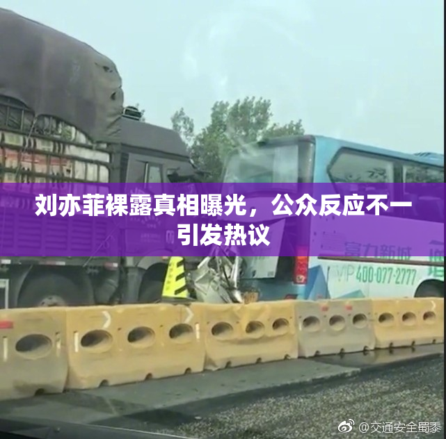 刘亦菲裸露真相曝光，公众反应不一引发热议