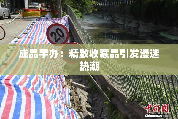 成品手办：精致收藏品引发漫迷热潮