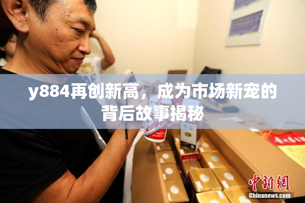 y884再创新高，成为市场新宠的背后故事揭秘